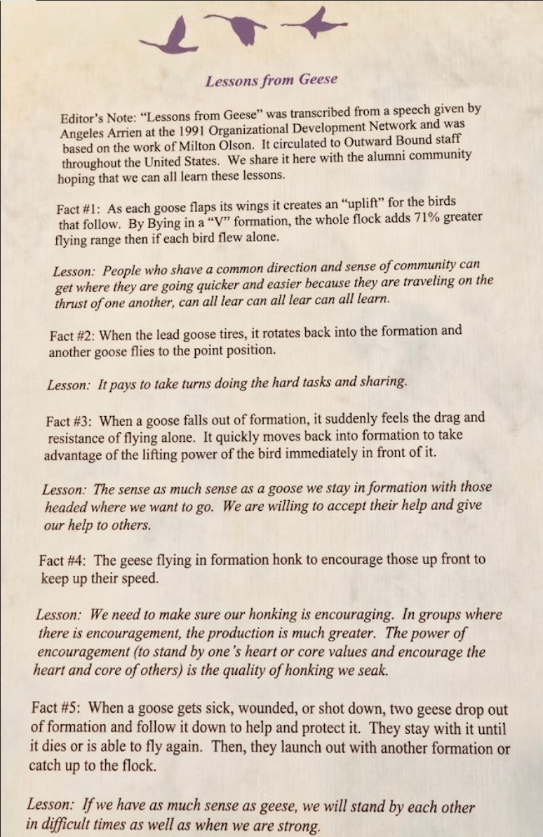 Lessons from Geese